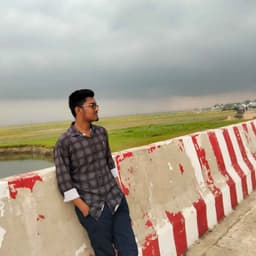 Profile of Julfiker Hossen Shebbir